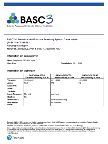 BESS flerperspektivrapport