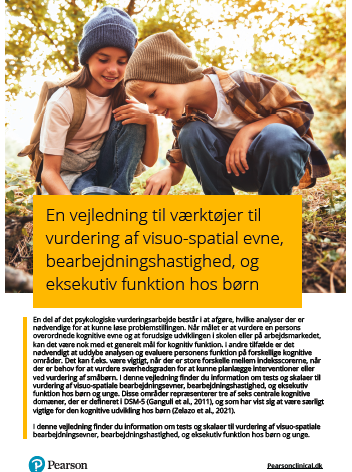 En vejledning til værktøjer til vurdering af visuo-spatial evne, bearbejdningshastighed, og eksekutiv funktion hos børn