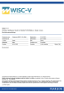 WISC-V Eksempelrapport Q-global